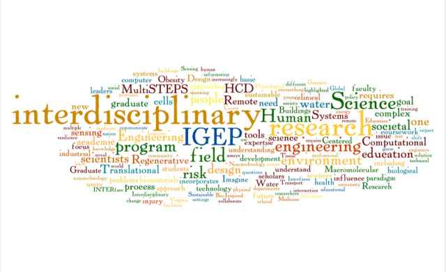 Virginia Tech Graduate School supports 14 Interdisciplinary Graduate Education Programs, called IGEPS, providing students cross-discipline research opportunities