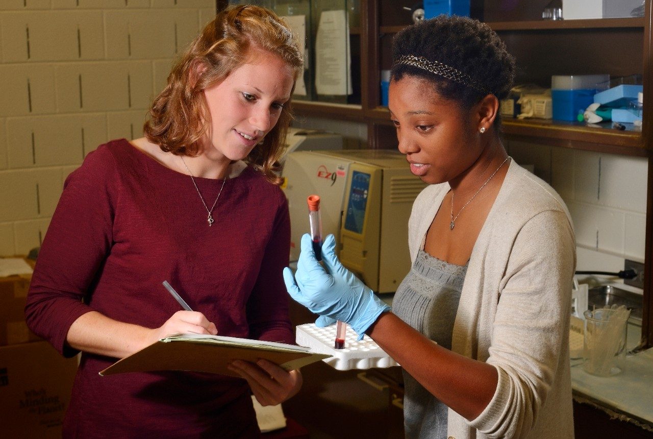 Two Virginia Tech doctoral students work in a Human Nutrition, Food and Exercise program lab