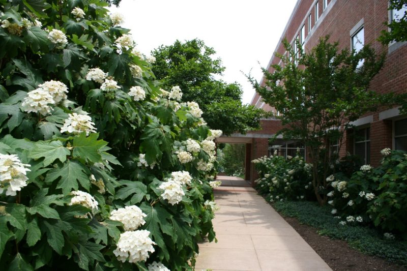 The Virginia Tech Northern Virginia Center, home to several graduate programs